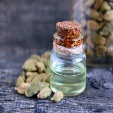 Cardamom Oleoresin Suppliers